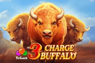 77XBet